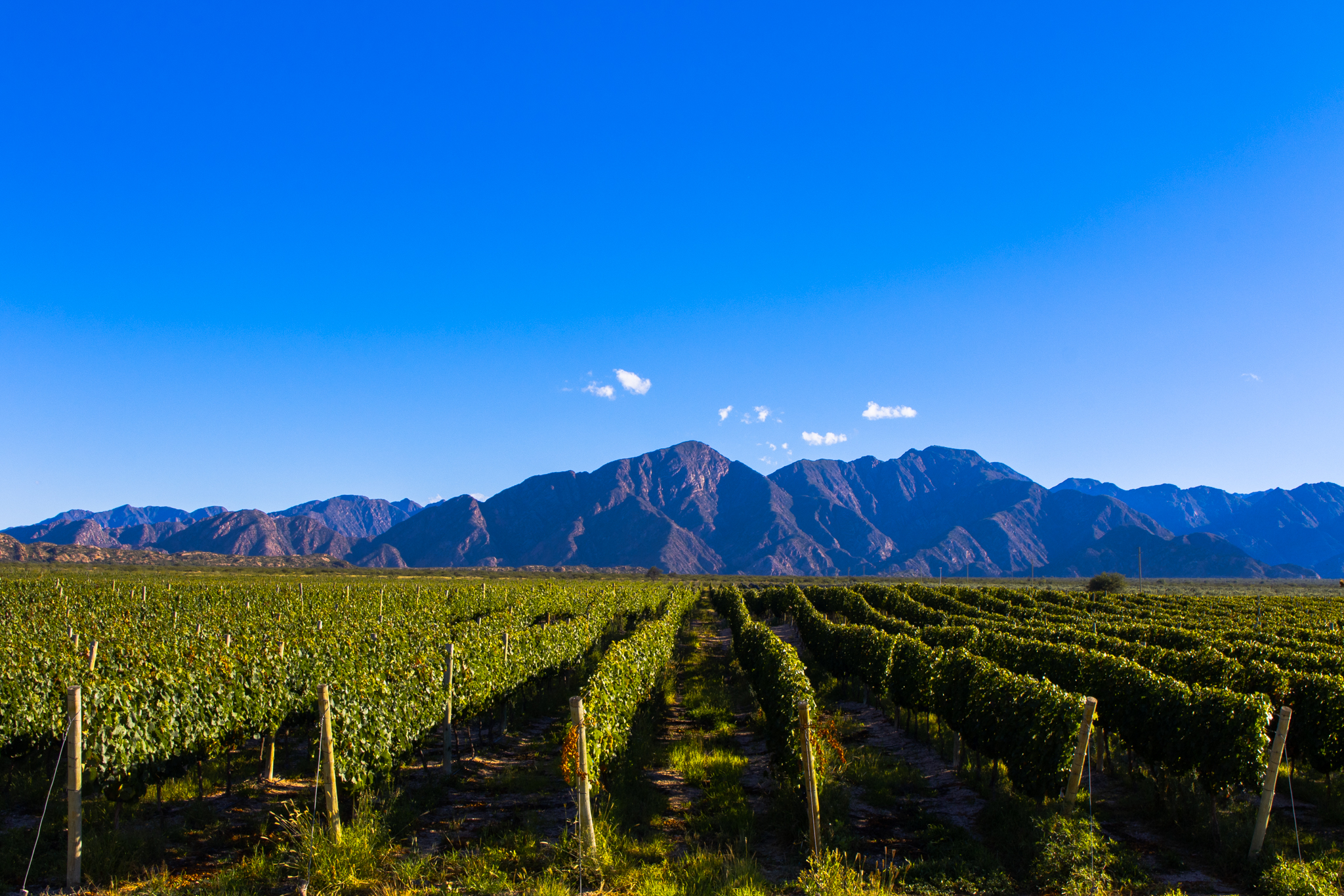 Vista Larga, La Rioja