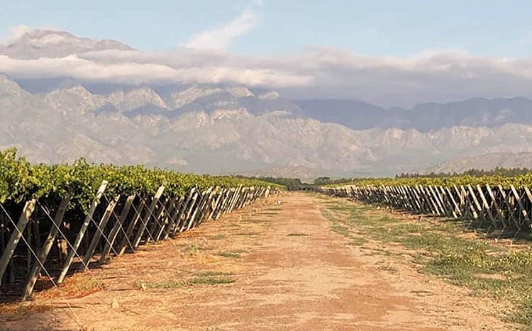  Finca Valle de la Puerta, La Rioja